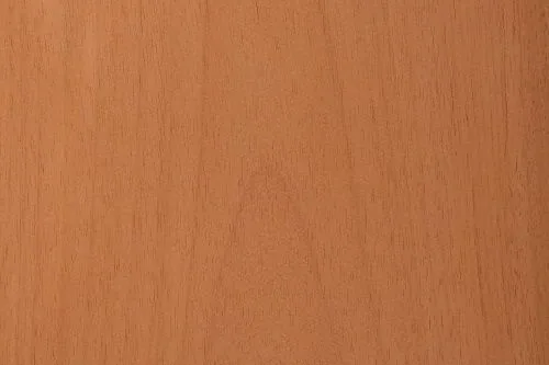 Jequitibá-rosa wood sample