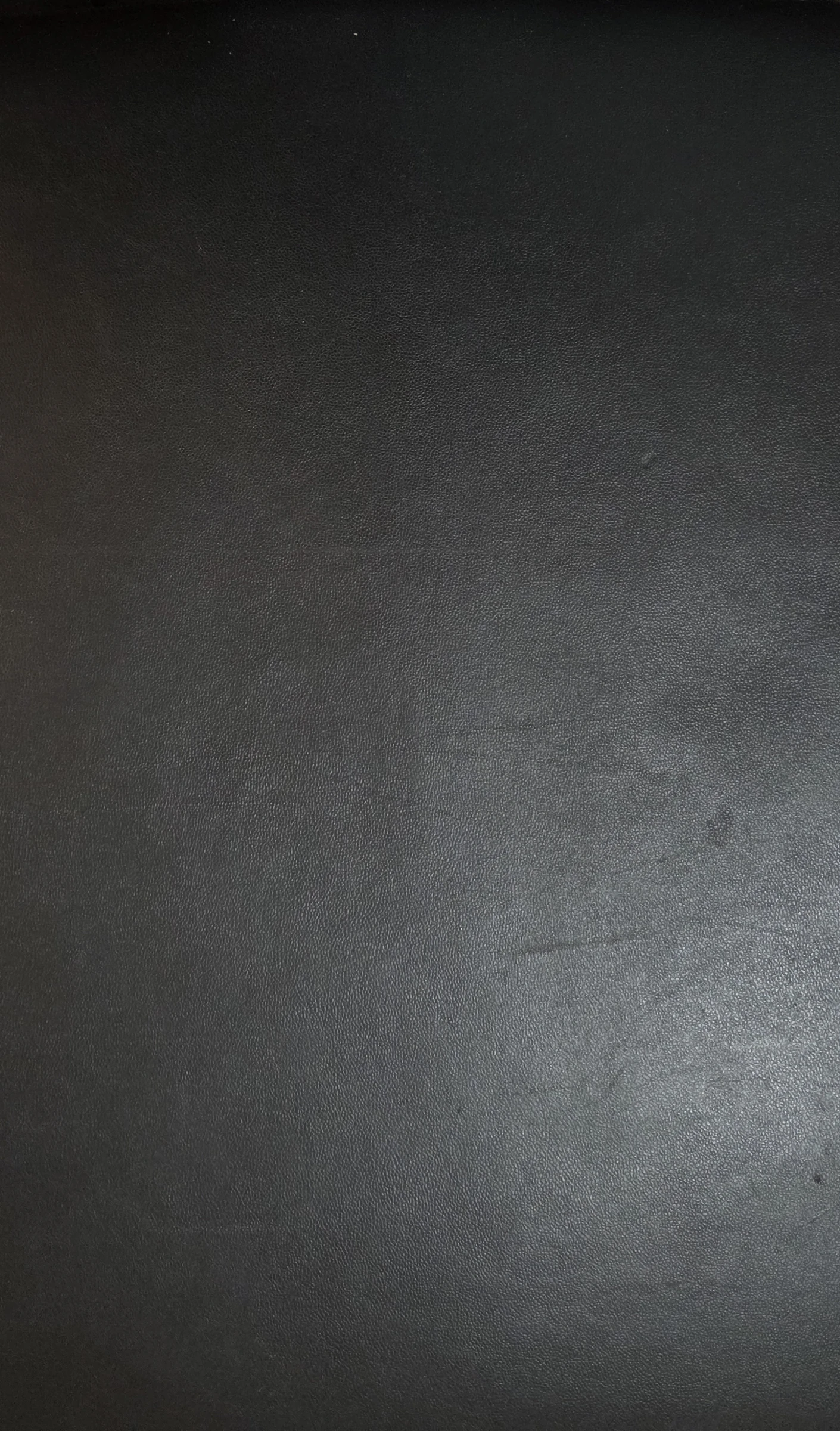 Black leather of the ebonized version